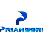 Priandori Feedback