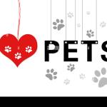 Love your pets