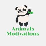 Animals Motivations