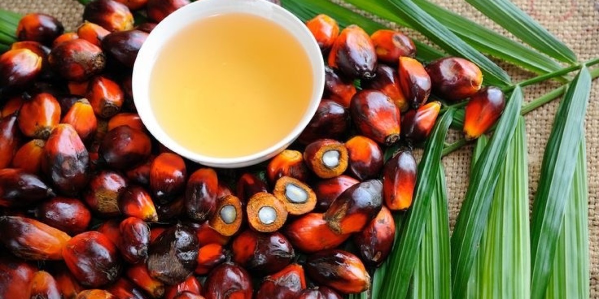 Palm Kernel Oil: A Versatile and Controversial Ingredient