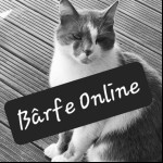 Barfe Online