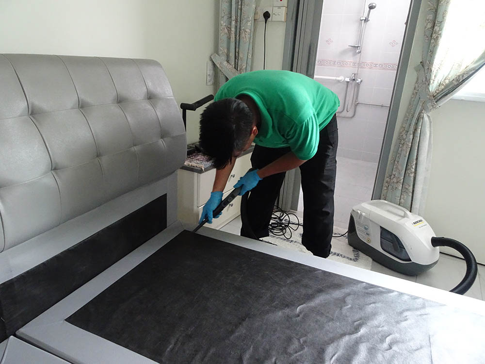 Bed Bugs Control Treatment & Removal Services in Singapore