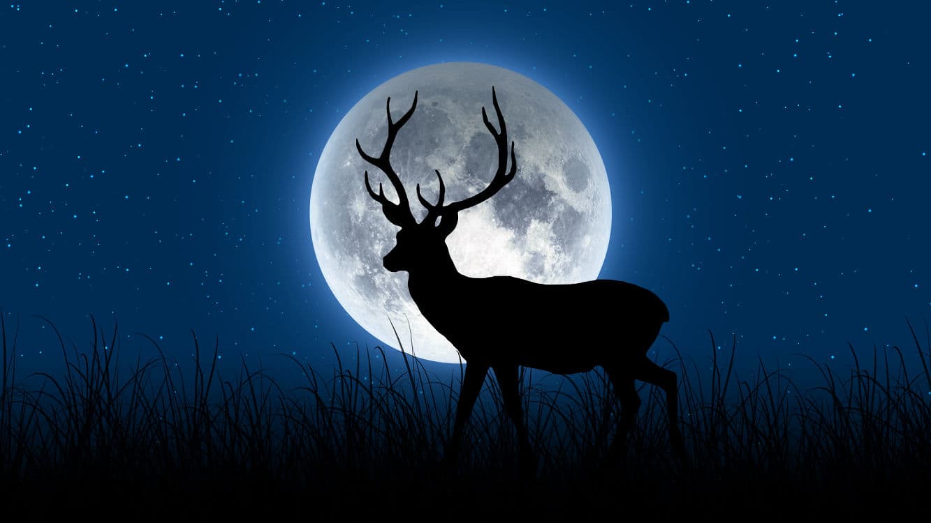 July 2024's Captivating Buck Moon: How It Impacts Your Zodiac Sign - Adela Journal - News from around the World